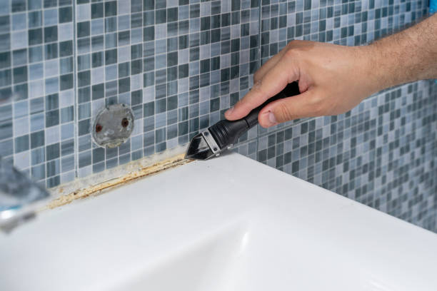 Best Insurance-Related Mold Remediation in Leland, NC