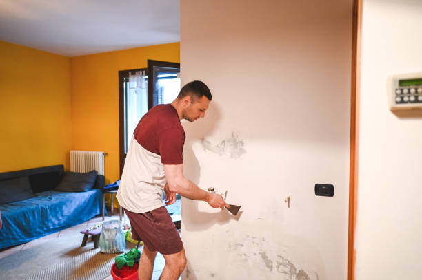 Best Kitchen Mold Remediation in Leland, NC